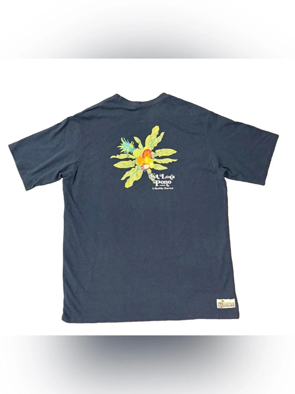 Patagonia Pataloha T-Shirt Men Large Blue Ka Loa’a Pono Hawaii Health Harvest